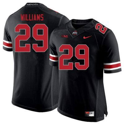 NCAA Ohio State Buckeyes Men's #29 Kourt Williams Blackout Nike Football College Jersey CZV4845ZL